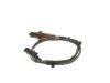 Oxygen Sensor -