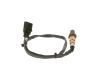Oxygen Sensor -