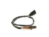 Oxygen Sensor -