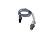 Oxygen Sensor -