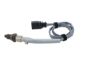 Oxygen Sensor -