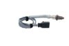 Oxygen Sensor -