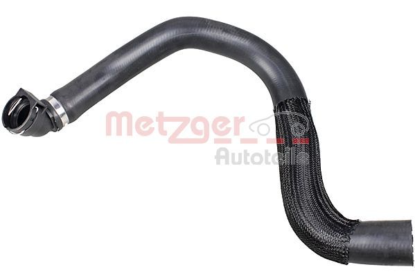 Radiator Hose -