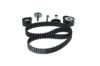 Timing Belt Kit -