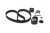Timing Belt Kit -