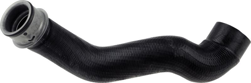 Radiator Hose -