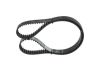 Timing Belt -