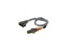 Oxygen Sensor -