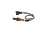 Oxygen Sensor -