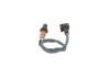 Oxygen Sensor -