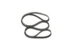 V-Ribbed Belt -