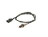 Oxygen Sensor -
