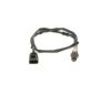 Oxygen Sensor -