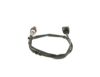 Oxygen Sensor -