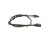 Oxygen Sensor -