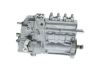 lnjection Pump -
