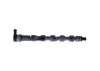 Distributor Pipe, fuel -