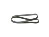 V-Ribbed Belt -