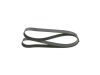 V-Ribbed Belt -