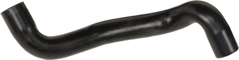 Radiator Hose -