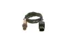 Oxygen Sensor -