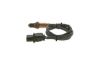 Oxygen Sensor -