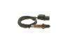 Oxygen Sensor -