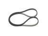 Timing Belt -