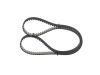 Timing Belt -