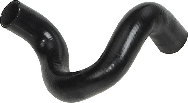 Radiator Hose -