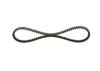 V-Belt 11,9X768