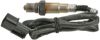 Oxygen Sensor -