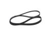 V-Ribbed Belt -