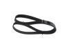 V-Ribbed Belt -