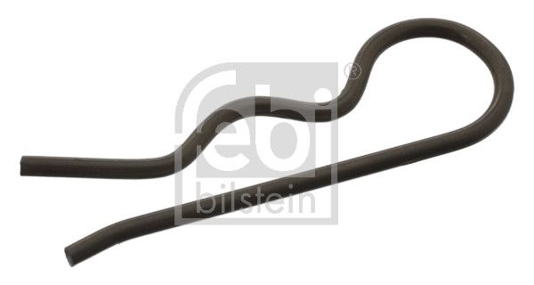 Spring Split Pin, fuel filter (thermostat) VW-Audi - 323 127 250