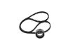 Timing Belt Kit -