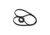 Timing Belt Kit -