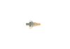 Oil Pressure Switch -