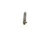 Nozzle and Holder Assembly -