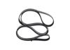 V-Ribbed Belt -