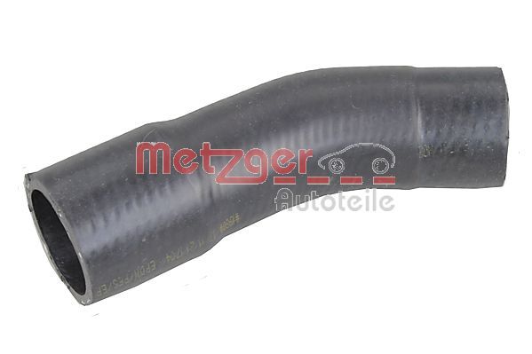 Radiator Hose -