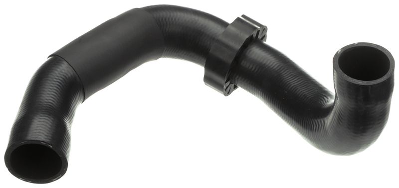 Radiator Hose -