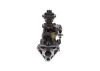 lnjection Pump -