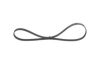 V-Ribbed Belt -
