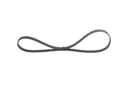 V-Ribbed Belt -