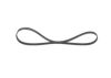 V-Ribbed Belt -