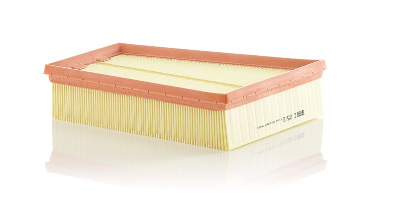 Air Filter Renault Megane, Scenic.