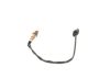 Oxygen Sensor -