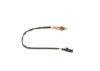 Oxygen Sensor -