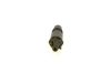 Nozzle and Holder Assembly VOYAGER II (ES), SCORPIO II (GFR, GGR)
